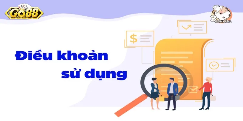 Giới thiệu chung về chính sách điều khoản điều kiện